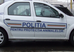 politia animalelor