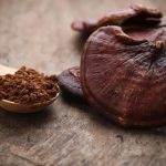 Ganoderma: Ciuperca Miraculoasă pentru Sănătate și Longevitate